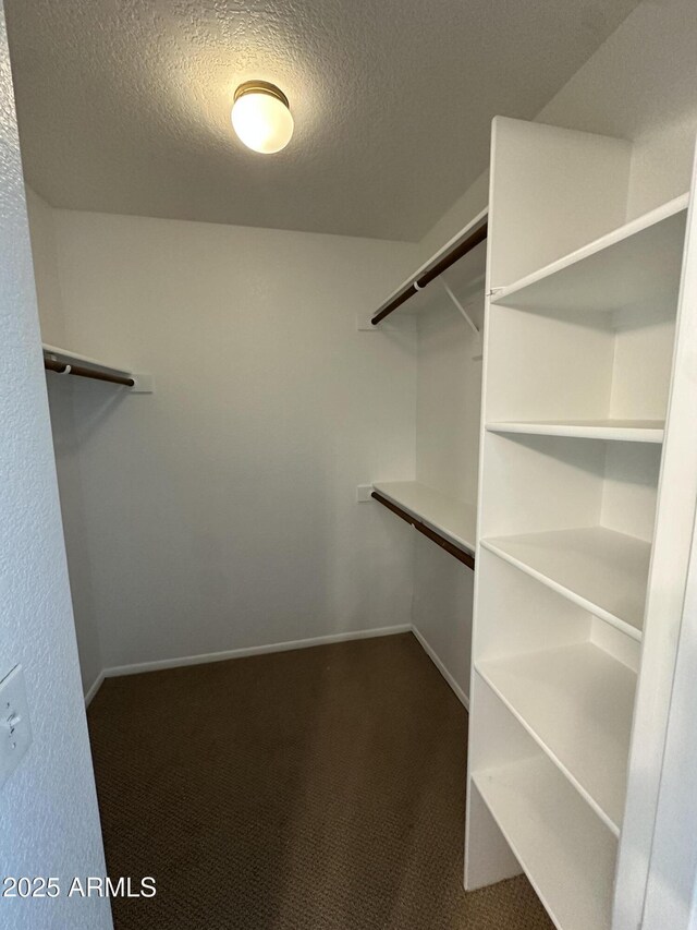 walk in closet with dark carpet