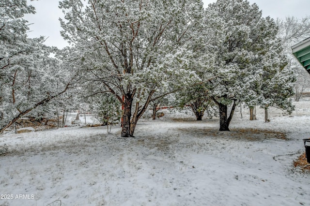 view of yard layered in snow