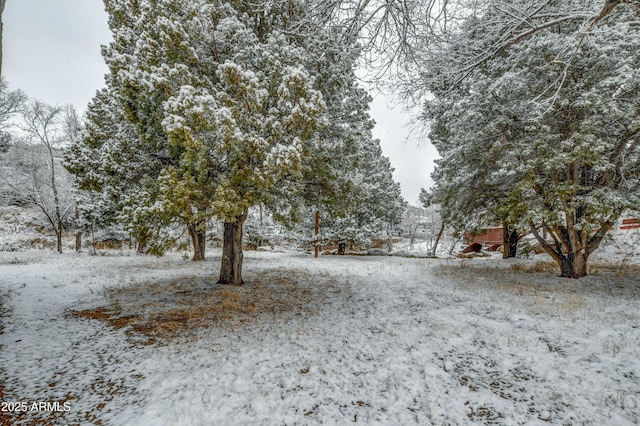 view of yard layered in snow