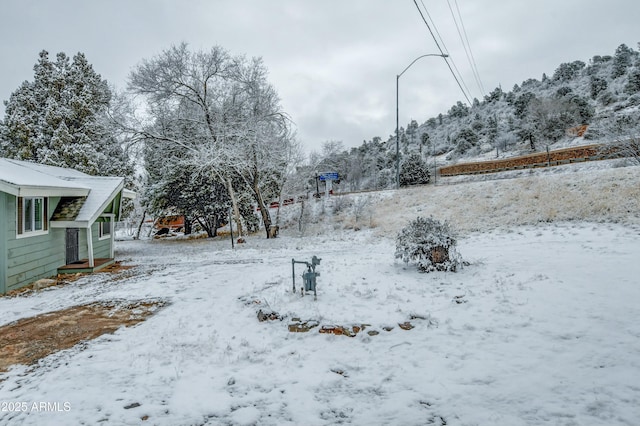 view of snowy yard