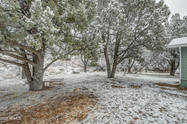 view of yard covered in snow