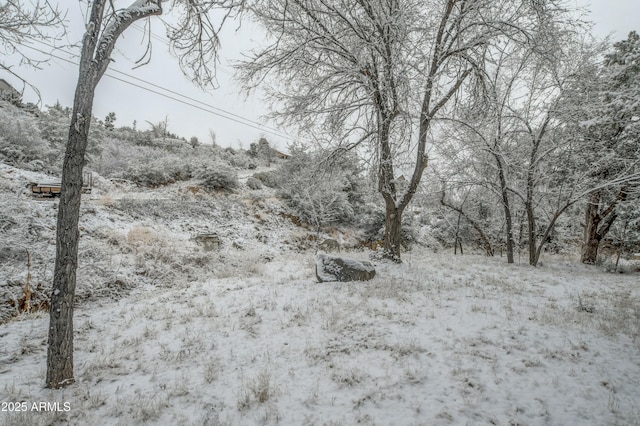 view of snowy view