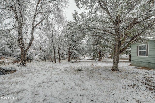 view of snowy yard