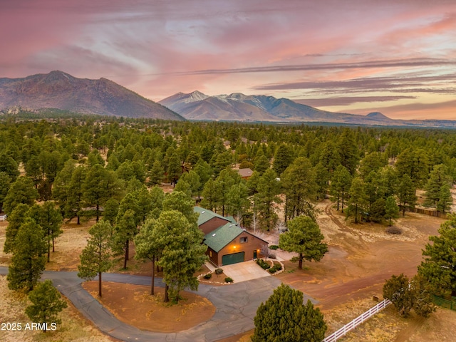 8445 Caballo Way Unit 2, Flagstaff, AZ 86004 - view of mountain background featuring a forest