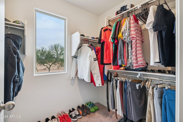 walk in closet with carpet flooring