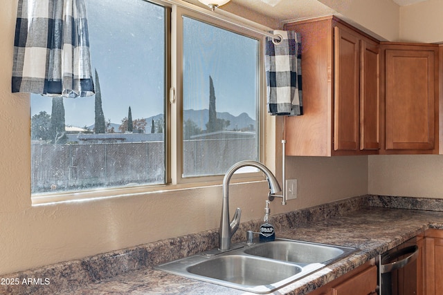 kitchen with dishwasher and sink