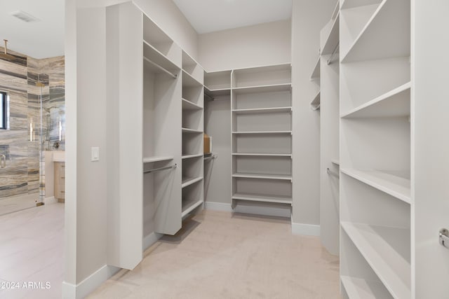 spacious closet with light colored carpet