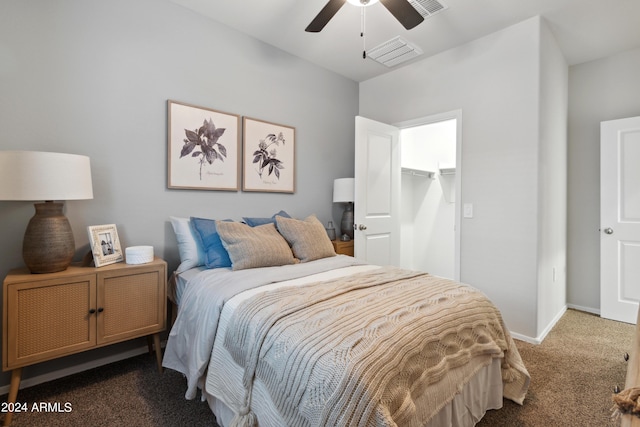 bedroom with a walk in closet, ceiling fan, dark carpet, and a closet