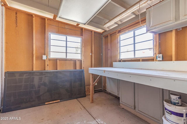 miscellaneous room with a wealth of natural light