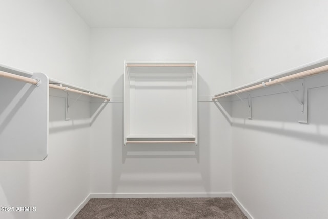 walk in closet with dark carpet