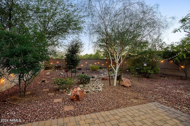 view of yard at dusk