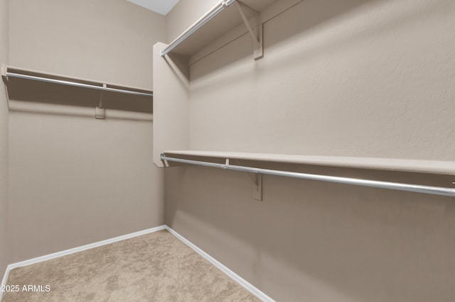 walk in closet with carpet floors