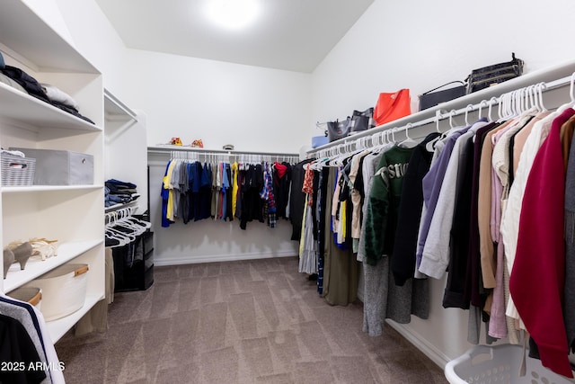 walk in closet featuring carpet floors