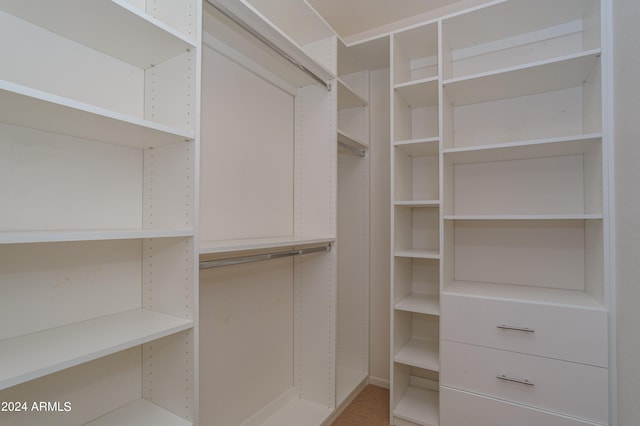 spacious closet featuring carpet flooring