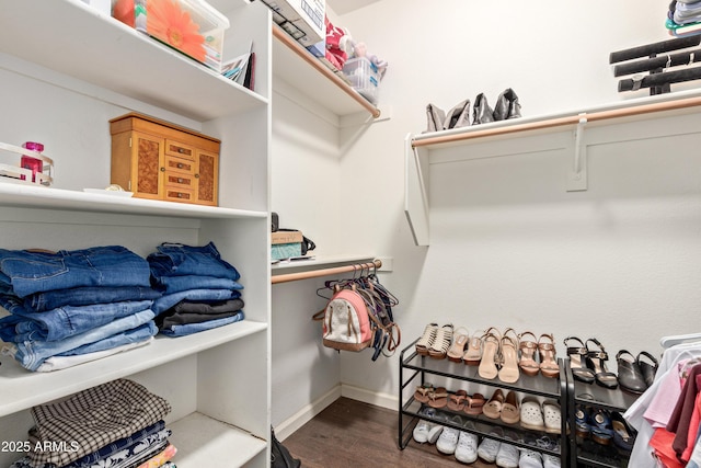 walk in closet with hardwood / wood-style floors