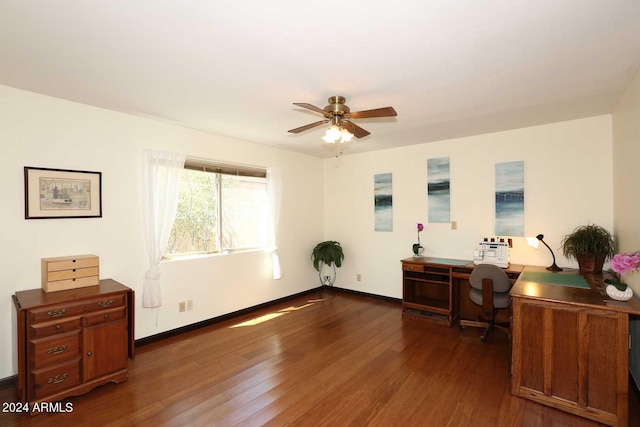 office space with dark hardwood / wood-style floors and ceiling fan