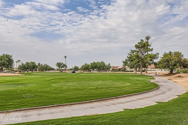 view of community with a yard