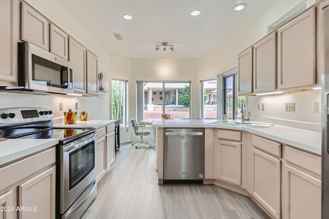 kitchen with plenty of natural light, sink, stainless steel appliances, and light wood-type flooring