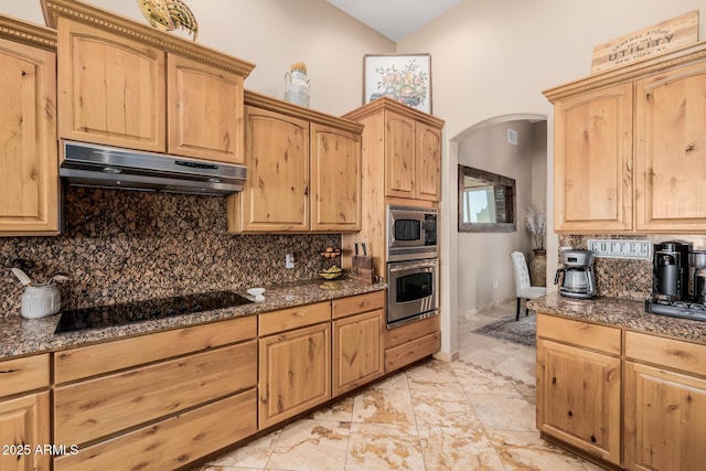 38106 N 2nd Ln, Phoenix, AZ 85086 - kitchen with appliances with stainless steel finishes, under cabinet range hood, arched walkways, and backsplash