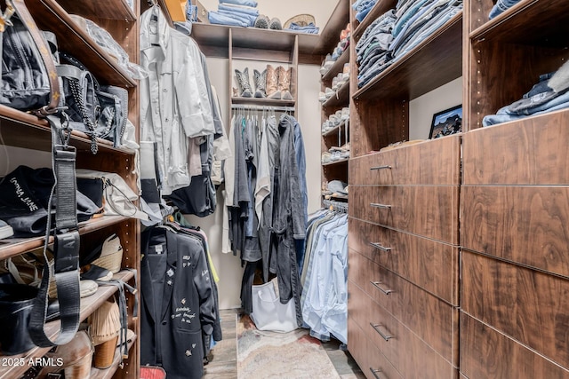 38106 N 2nd Ln, Phoenix, AZ 85086 - view of spacious closet