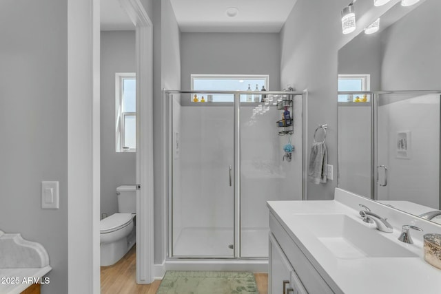bathroom featuring a wealth of natural light, toilet, and a shower stall