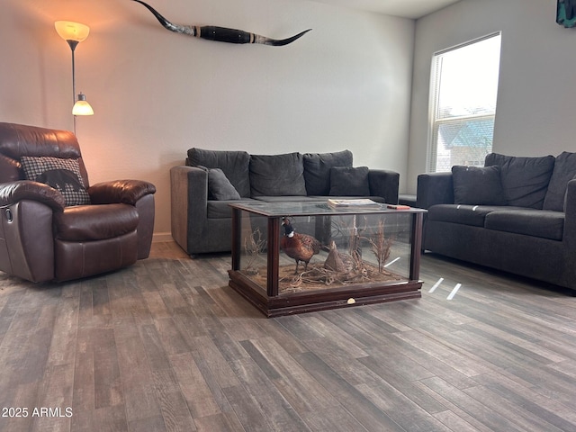 living room featuring wood finished floors