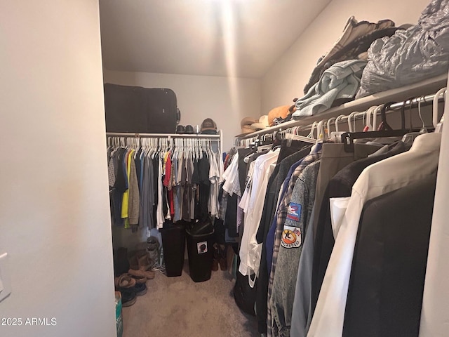 spacious closet featuring carpet floors