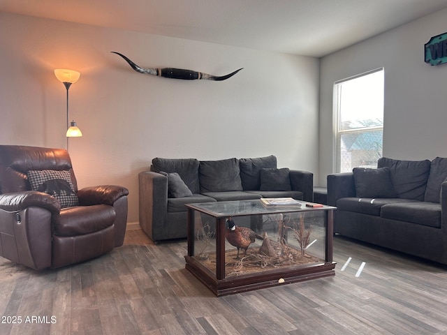 living room with wood finished floors