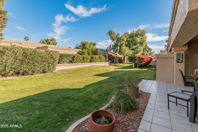 view of yard featuring a patio