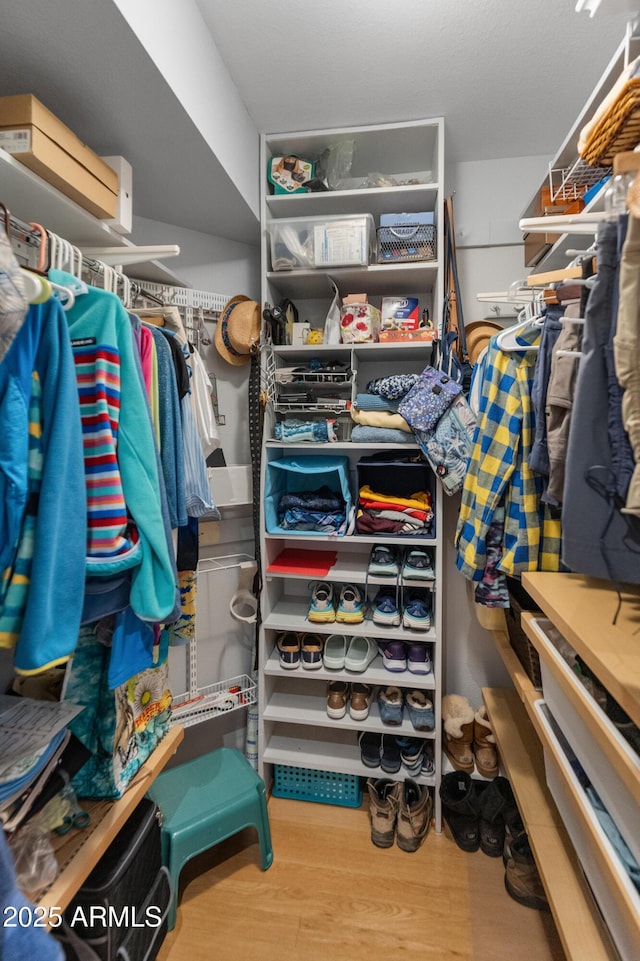 walk in closet with hardwood / wood-style floors