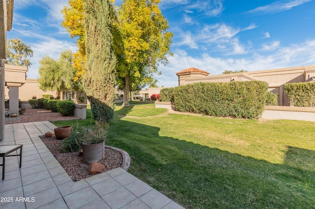 view of yard featuring a patio