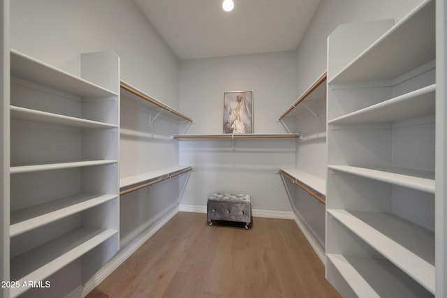 walk in closet featuring wood-type flooring