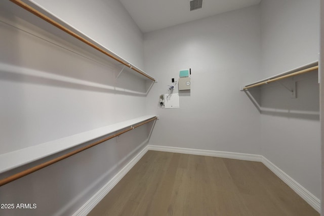 spacious closet featuring wood-type flooring