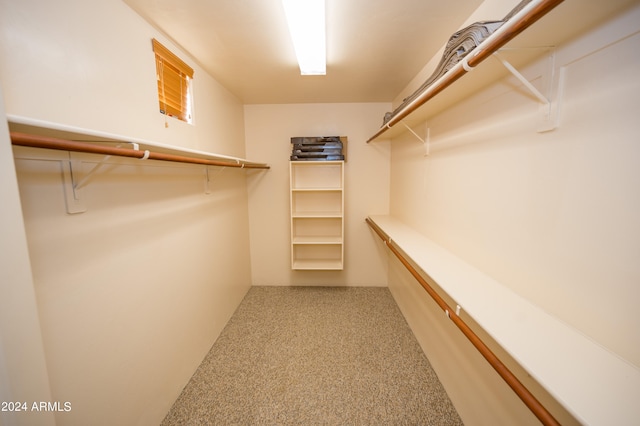spacious closet featuring light carpet
