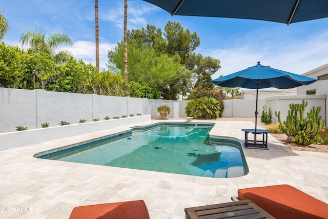 5438 E Lupine Ave, Scottsdale, AZ 85254 - view of swimming pool featuring a fenced backyard and a patio area