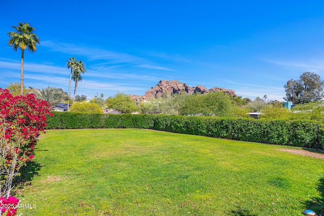 4218 E Palo Verde Dr, Phoenix, AZ 85018 - view of yard featuring fence