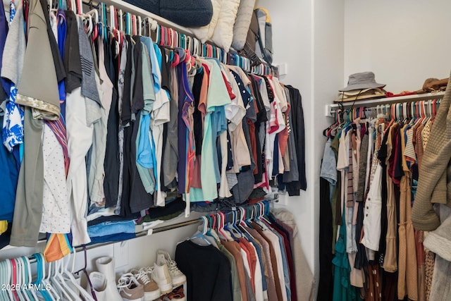 view of walk in closet