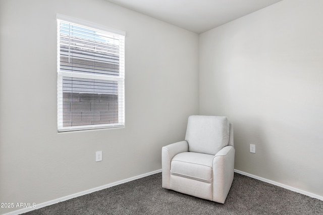 sitting room with baseboards and carpet floors