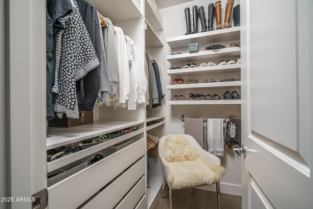 walk in closet with wood finished floors