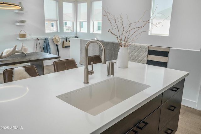 details with a sink and wood finished floors