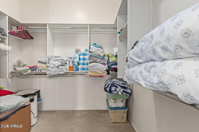 walk in closet with carpet floors