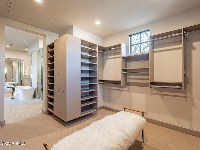 walk in closet with carpet flooring