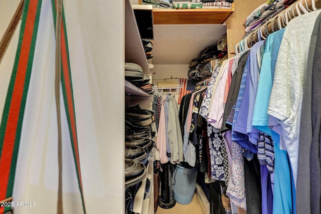 view of walk in closet