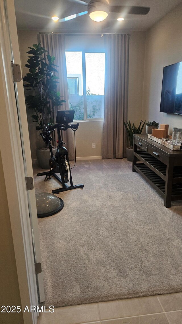 exercise area with carpet flooring