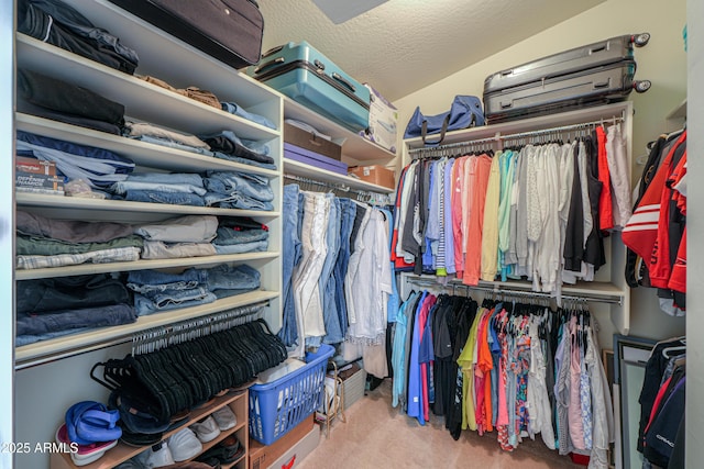 44890 W Desert Garden Rd, Maricopa, AZ 85139 - spacious closet featuring carpet