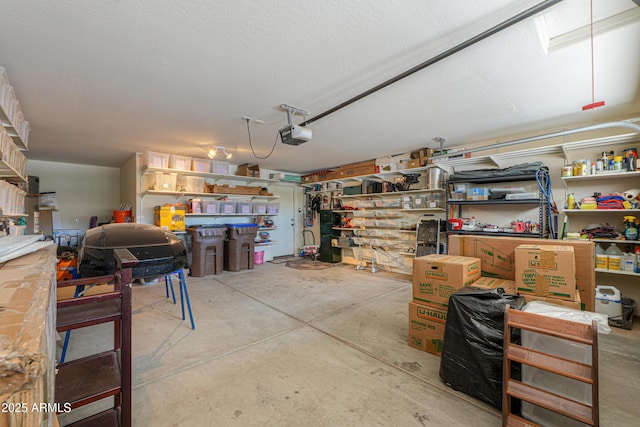 44890 W Desert Garden Rd, Maricopa, AZ 85139 - garage with a garage door opener