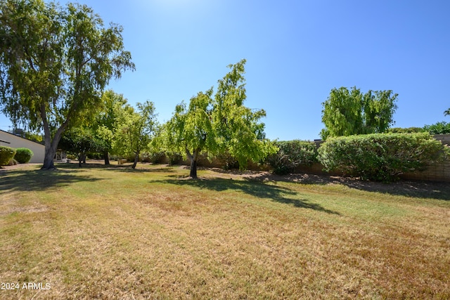 view of yard