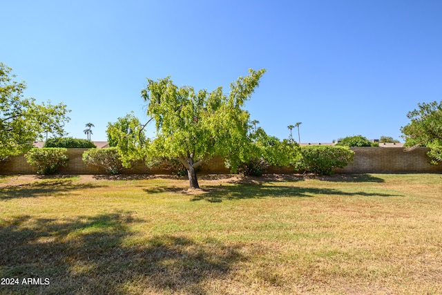 view of yard