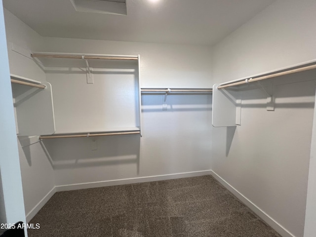 walk in closet with carpet floors