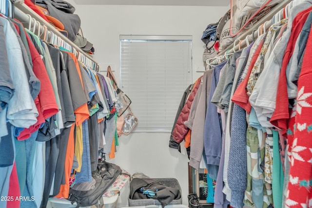 view of spacious closet